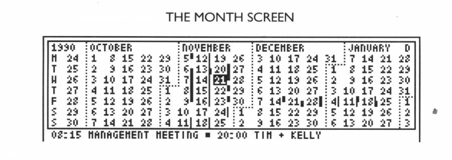 pocketplannermonatsansicht.jpg pocketplannermonatsansicht.jpg